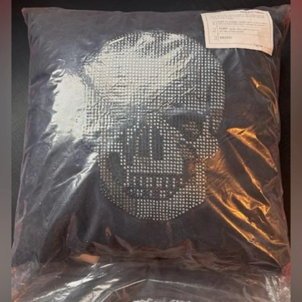 Rhinestone Skull Graphic Pillow- Black with Silver Studs NWT sealed 18x18 approx